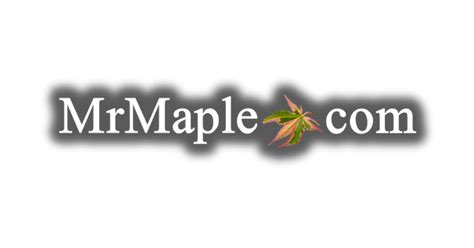 mrmaple reviews|How to Review MrMaple.com — Mr Maple │ Buy。